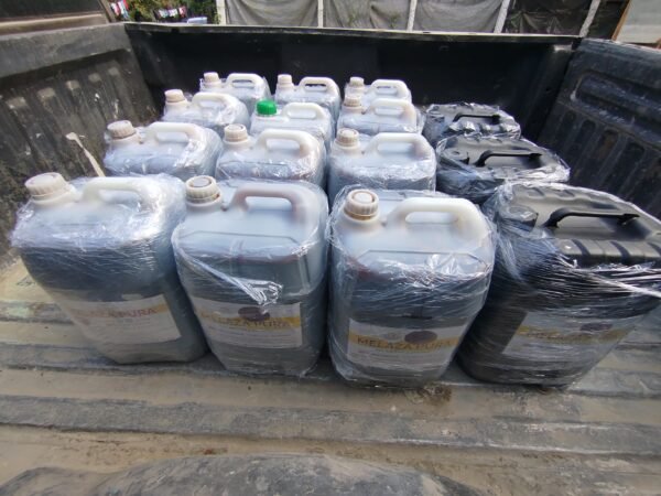 IMG_20250206_150815 Melaza pura