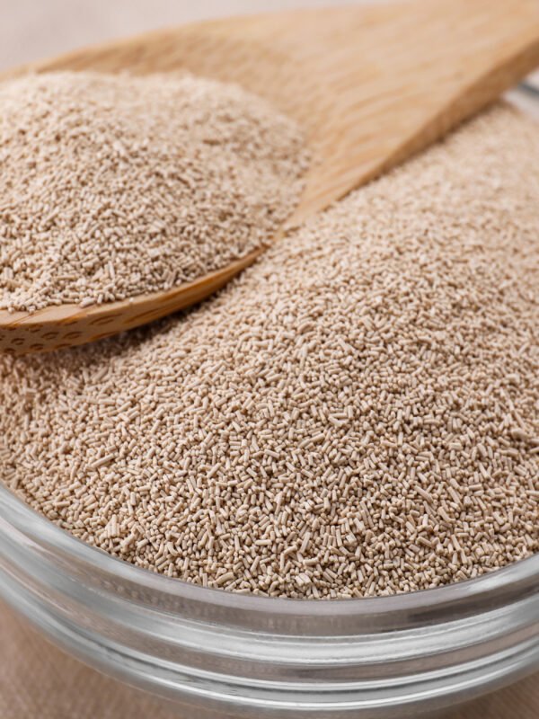 Levadura seca foto 1 Magidely, levadura seca instantanea 450 g