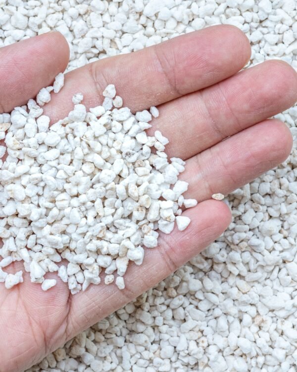 Perlita mano Perlita