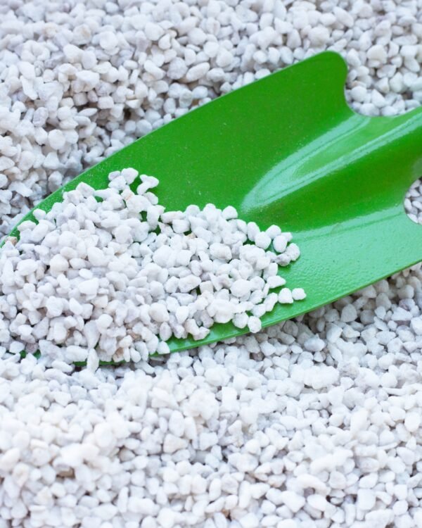 Perlita palita Perlita