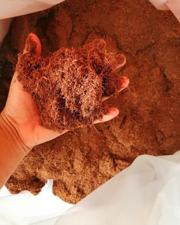 fibra de coco pura 1 Fibra de coco polvillo