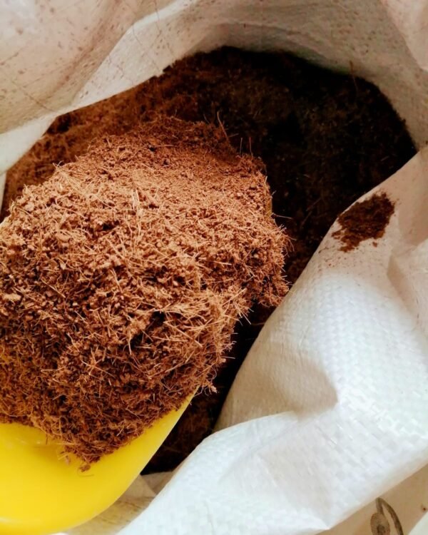 fibra de coco pura 2 Fibra de coco polvillo