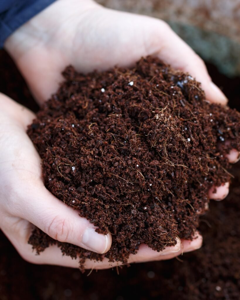 Ábonos y bioremediadores