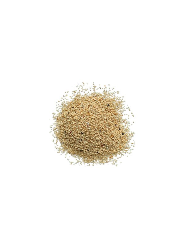 49 Semillas de amaranto Amaranto s/t