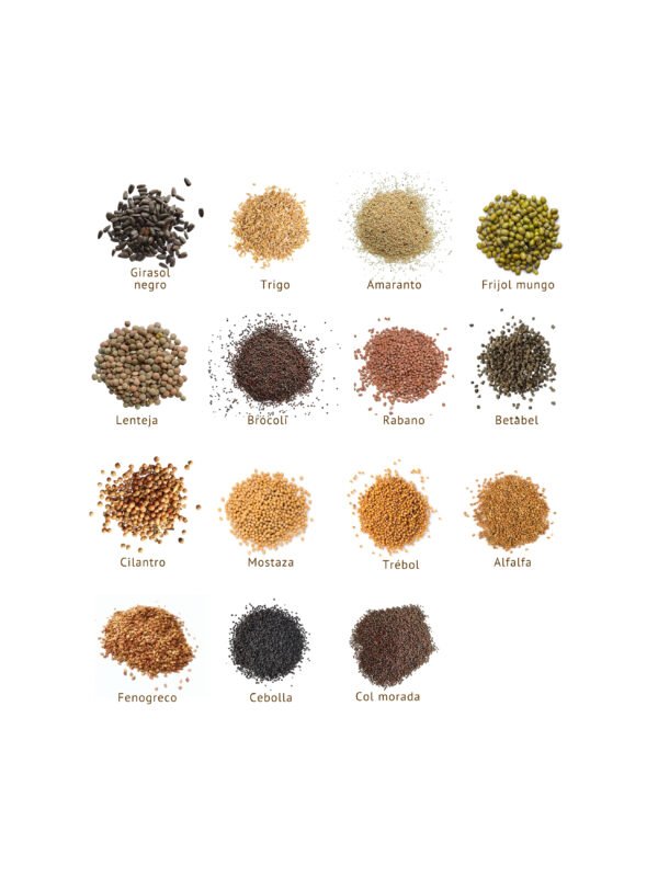 Paquete super mixto de semillas para germinados y brotes