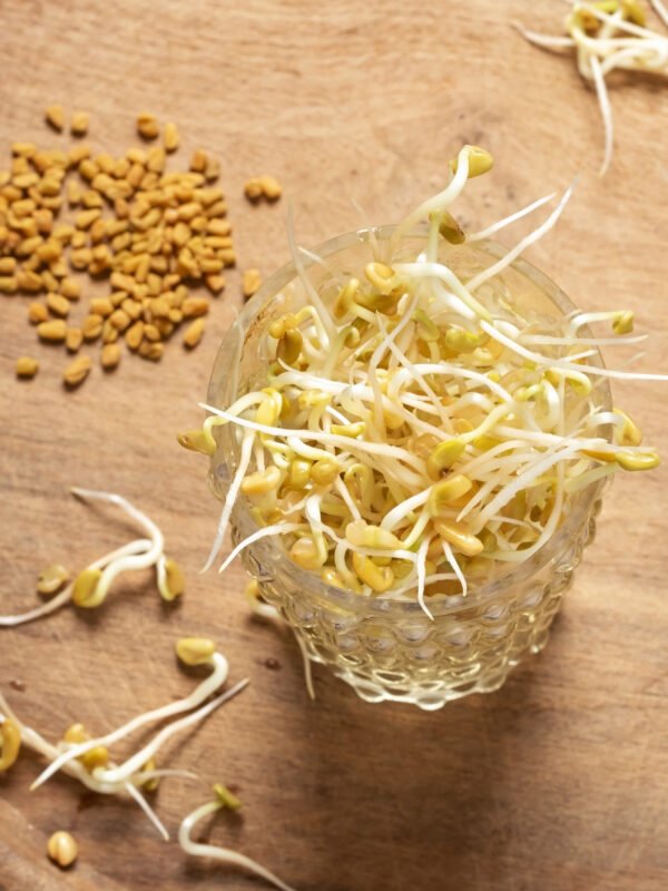 Paquete de semillas para germinados (cultivo en agua)