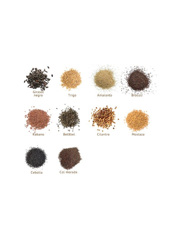 Paquete de semillas super brotes (cultivo en tierra)