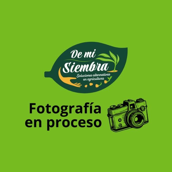 Lombricomposta humus de lombriz