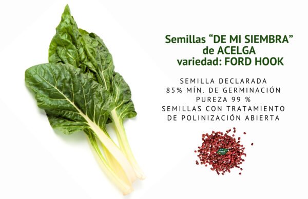 acelga frodhook semillas informaciÓn
