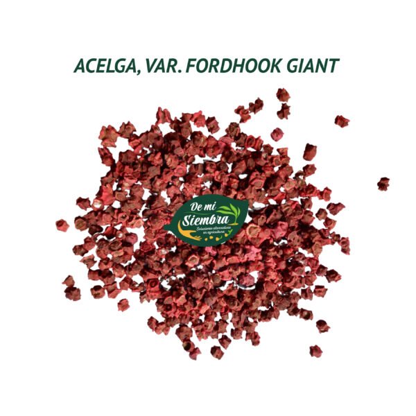 acelga ford hook semillas 1