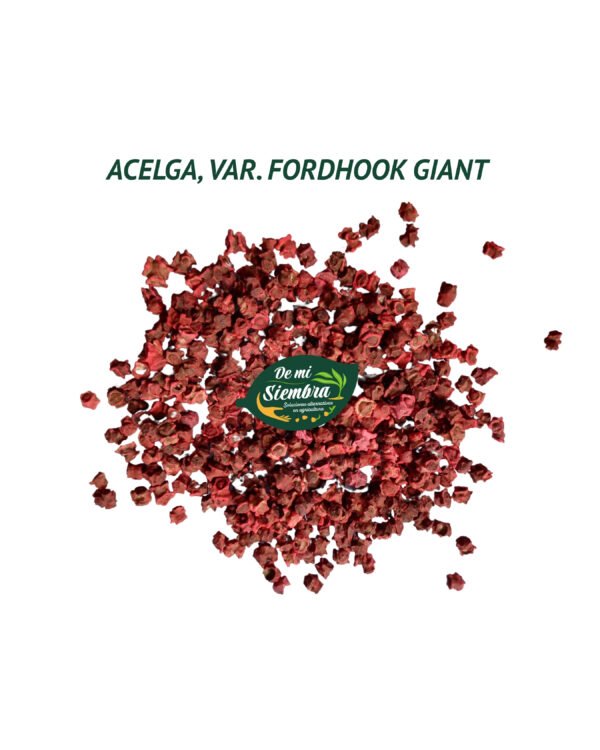 acelga ford hook semillas 1