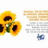 semillas de girasol ornamental var. sunbright golden yellowsemillas informaciÓn semillas de girasol ornamental var. sunbright golden yellowsemillas informaciÓn