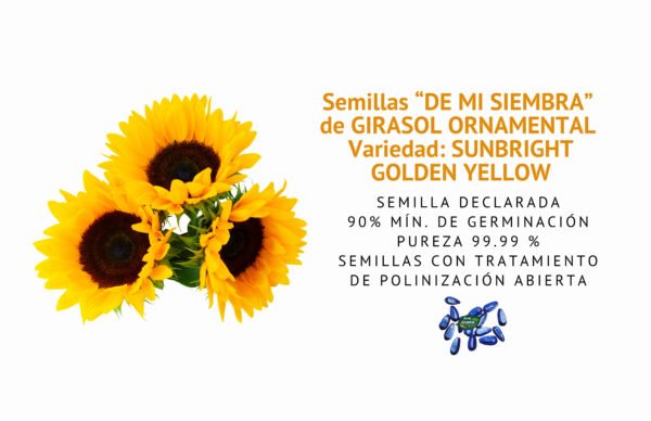 semillas de girasol ornamental var. sunbright golden yellowsemillas informaciÓn semillas de girasol ornamental var. sunbright golden yellowsemillas informaciÓn