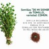 tomillo semillas informaciÓn