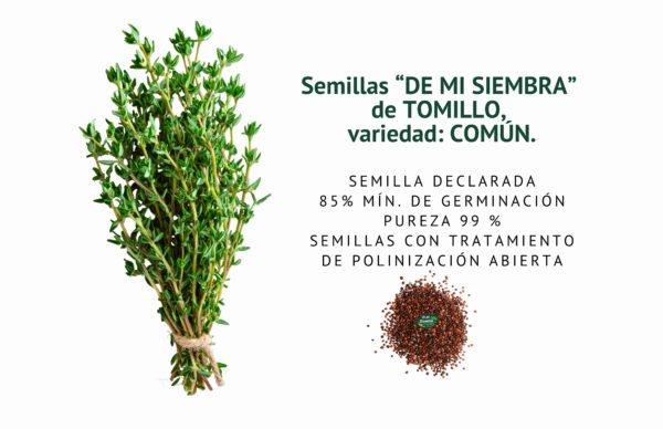 tomillo semillas informaciÓn