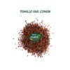 tomillo semillas 1