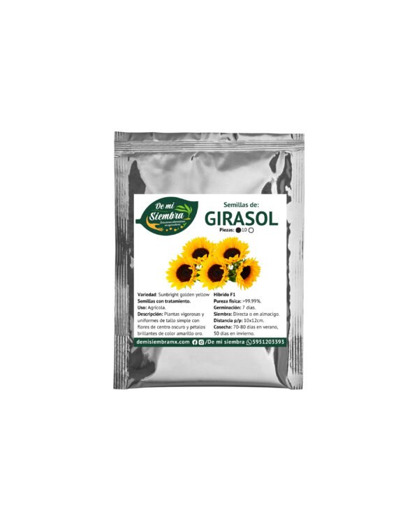 girasol sunbright golden yellow girasol sunbright golden yellow