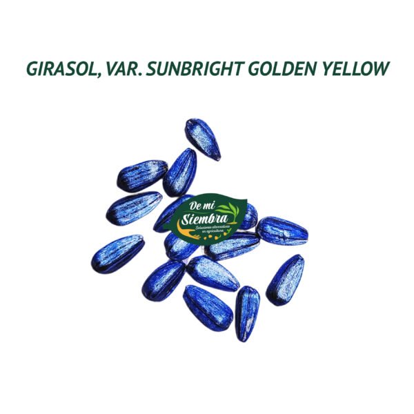 girasol sunbright golden yellow semillas 1 girasol sunbright golden yellow semillas 1