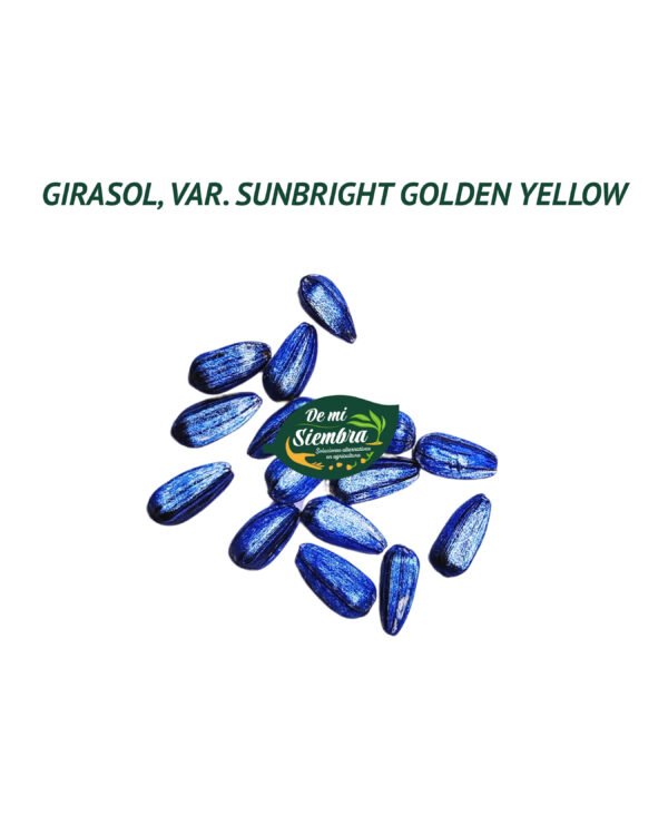 girasol sunbright golden yellow semillas 1 girasol sunbright golden yellow semillas 1