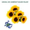 girasol sunbright golden yellow semillas girasol sunbright golden yellow semillas
