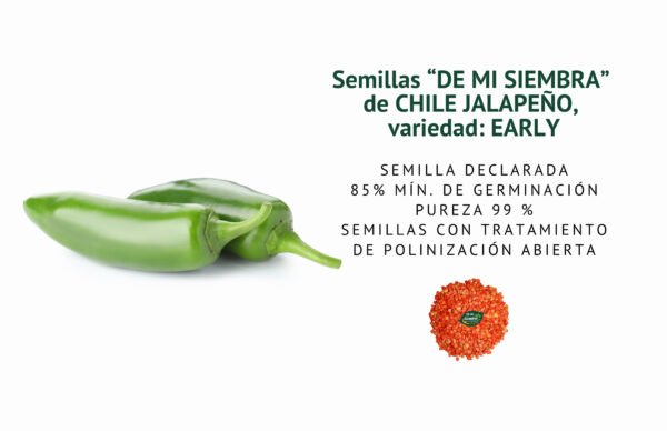 chile jalapeÑo early semillas informaciÓn
