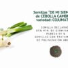 cebolla cambray semillas informaciÓn