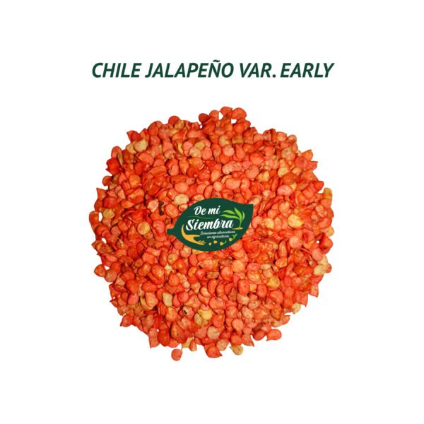 chile jalapeño semillas 1