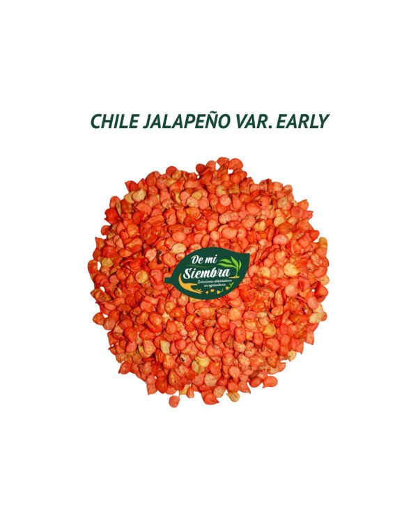 chile jalapeño semillas 1