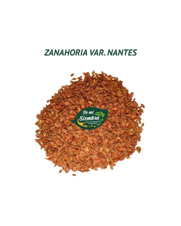 zanahoria nantes semillas 1