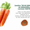 zanahoria nantes semillas informaciÓn