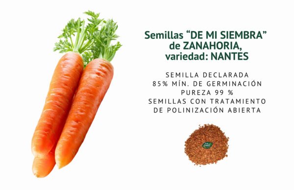 zanahoria nantes semillas informaciÓn