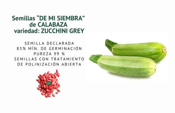 calabaza zucchini grey semillas informaciÓn