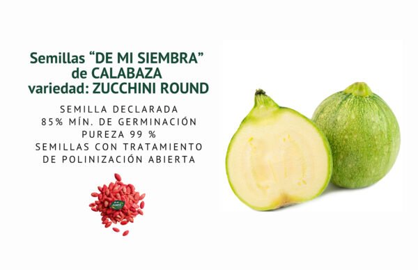 calabaza zucchini round semillas informaciÓn