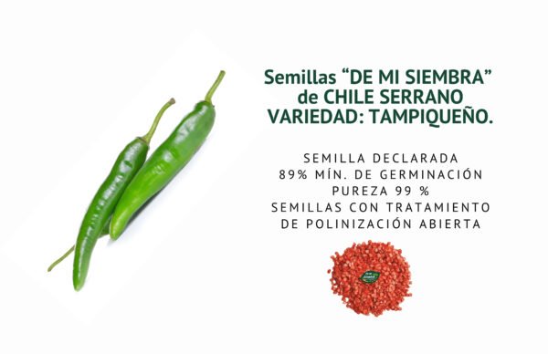 chile serrano tampiqueÑo semillas informaciÓn