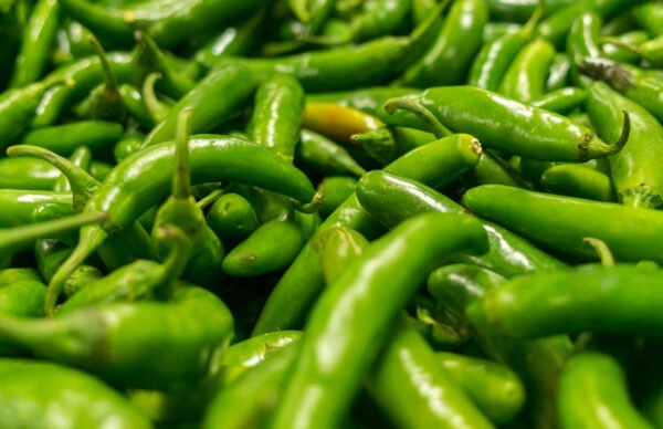 chile serrano tampiqueÑo foto 1