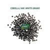 cebolla white grano semillas 1
