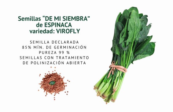 espinaca virofly semillas informaciÓn