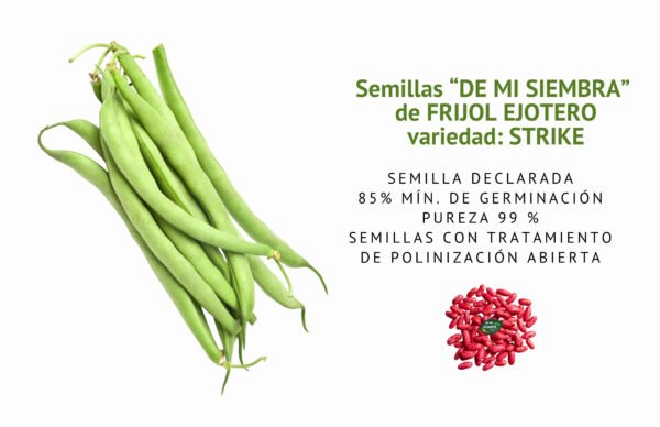 frijol ejotero strike semillas informaciÓn