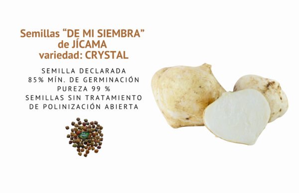 jicama crystal semillas informaciÓn