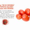 jitomate saladeth semillas informaciÓn