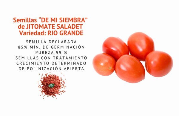 jitomate saladeth semillas informaciÓn
