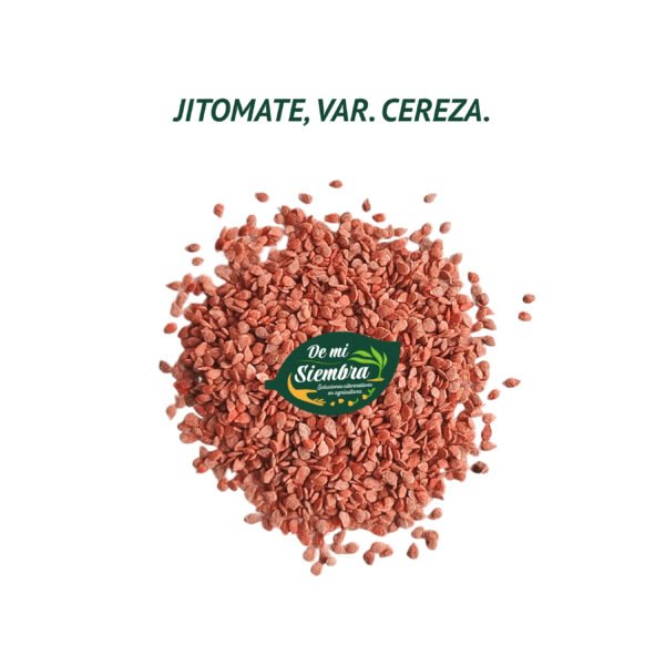 jitomate cereza semillas 1 jitomate cereza semillas 1