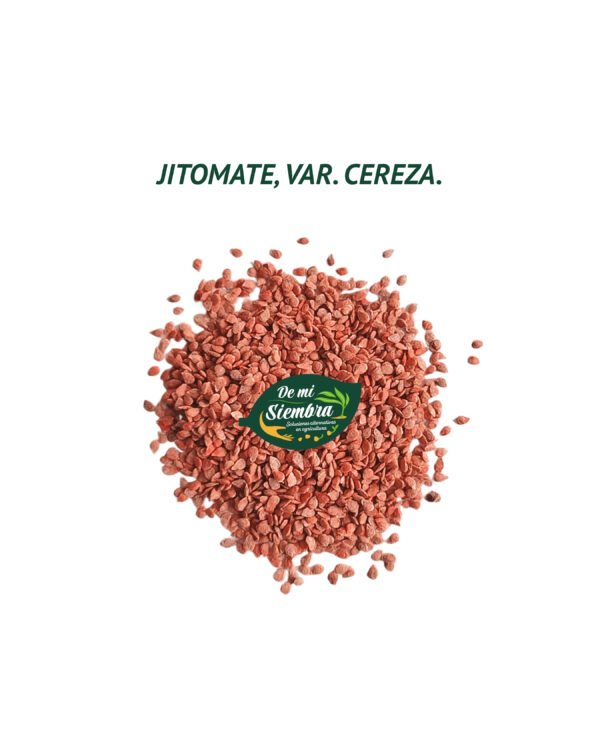 jitomate cereza semillas 1