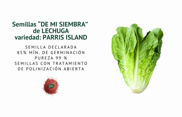 lechuga parris island semillas informaciÓn