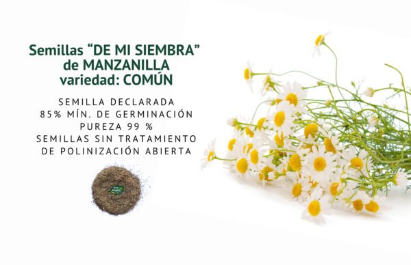 manzanilla comun semillas informaciÓn