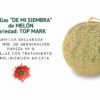 melon top mark semillas informaciÓn
