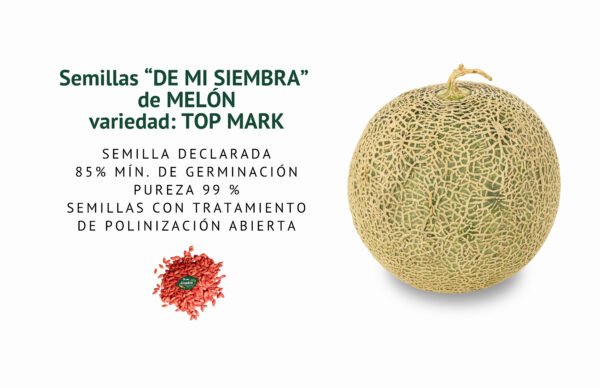 melon top mark semillas informaciÓn