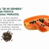 papaya maradol semillas informaciÓn