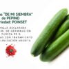 pepino poinset semillas informaciÓn