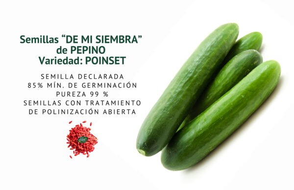 pepino poinset semillas informaciÓn